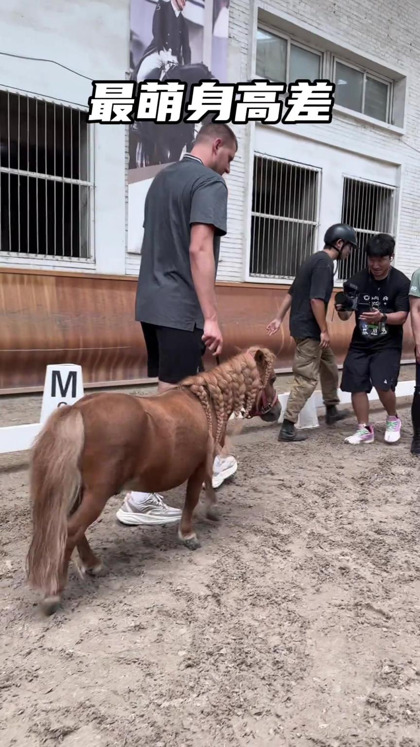 这里对于约基奇来说简直就是天堂